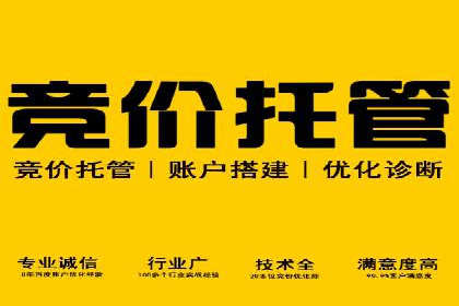 某企业通过搜索开户返点实现盈利增长